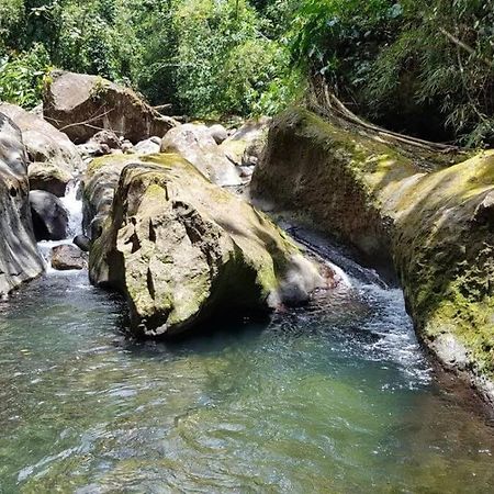 Maison La Voute Plage A 50M Et Riviere A Proximite Vieux-Habitants Zewnętrze zdjęcie