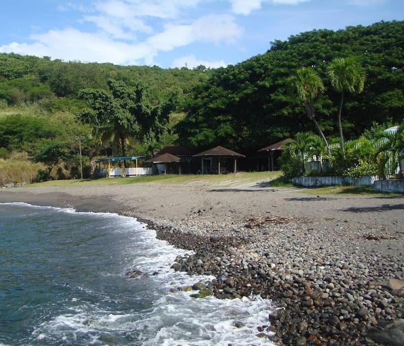 Maison La Voute Plage A 50M Et Riviere A Proximite Vieux-Habitants Zewnętrze zdjęcie